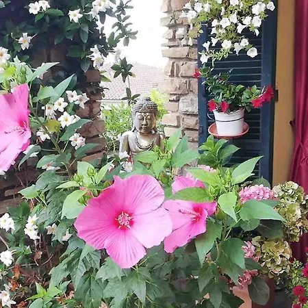 Casa de Férias La Casa Di Amelie Diano Marina / Imperia