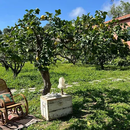 La Casa Di Amelie Diano Marina / Nyaraló Imperia